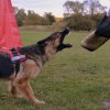 20190928 IGP-Training