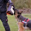 20190928 IGP-Training